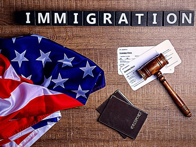 Immigration image